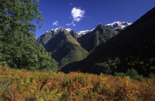 Val de Toran - Antolakuntzaren hautaketa