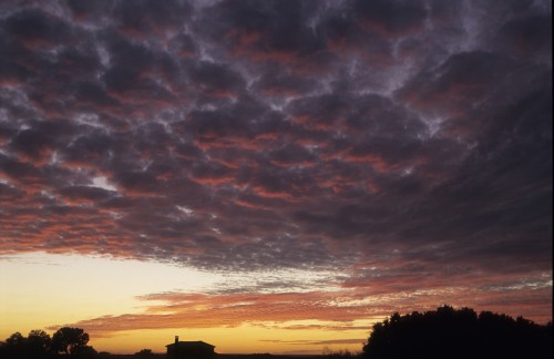 Atardecer - Antolakuntzaren hautaketa