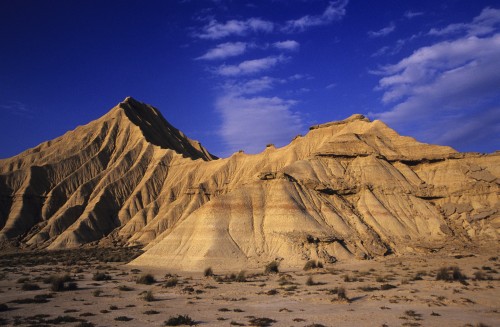 Bardenas - Antolakuntzaren hautaketa