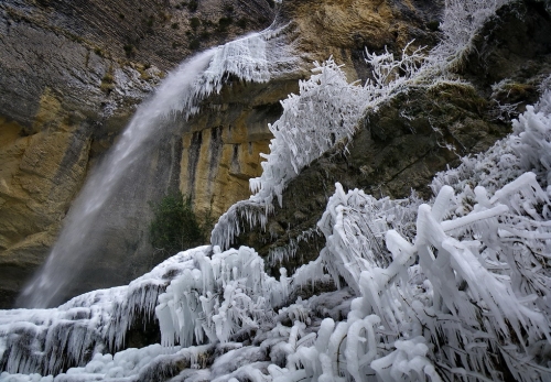 Artazul congelado - Antolakuntzak aukeratua