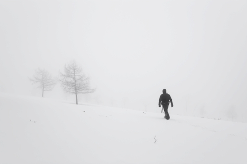 Camino a la cumbre - Antolakuntzak aukeratua