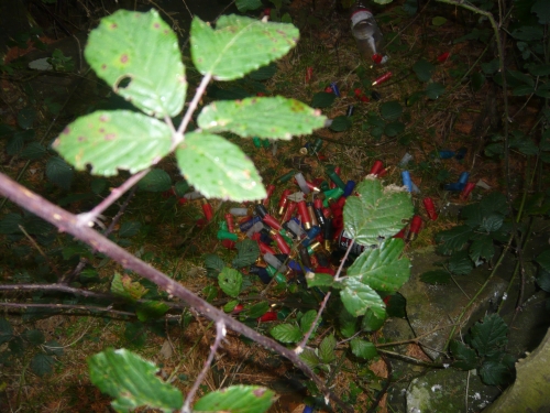 Antolakuntzak aukeratua - Gai Askea